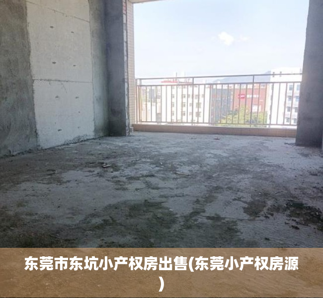东莞市东坑小产权房出售(东莞小产权房源) 东莞市东坑小产权房出售(东莞小产权房源)