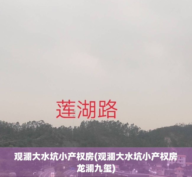 观澜大水坑小产权房(观澜大水坑小产权房龙澜九玺) 观澜大水坑小产权房(观澜大水坑小产权房龙澜九玺)
