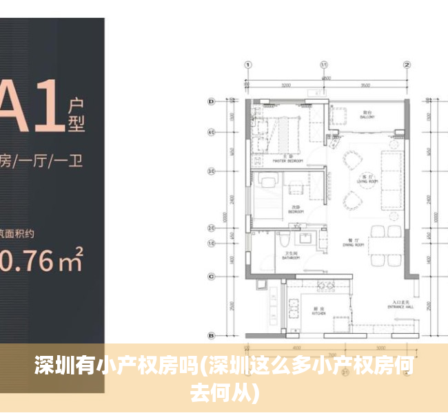 深圳有小产权房吗(深圳这么多小产权房何去何从) 深圳有小产权房吗(深圳这么多小产权房何去何从)