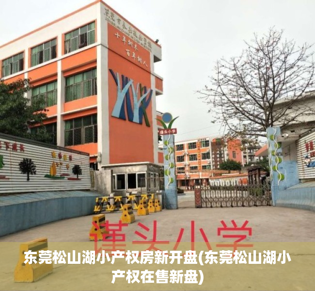 东莞松山湖小产权房新开盘(东莞松山湖小产权在售新盘) 东莞松山湖小产权房新开盘(东莞松山湖小产权在售新盘)