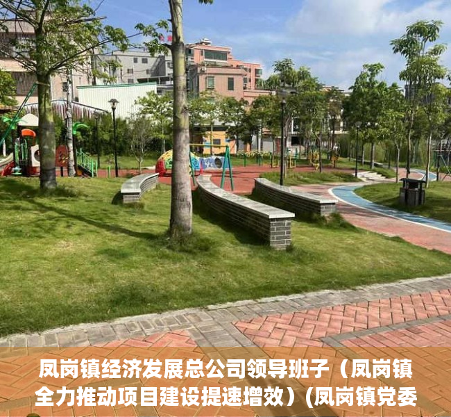 凤岗镇经济发展总公司领导班子（凤岗镇全力推动项目建设提速增效）(凤岗镇党委)