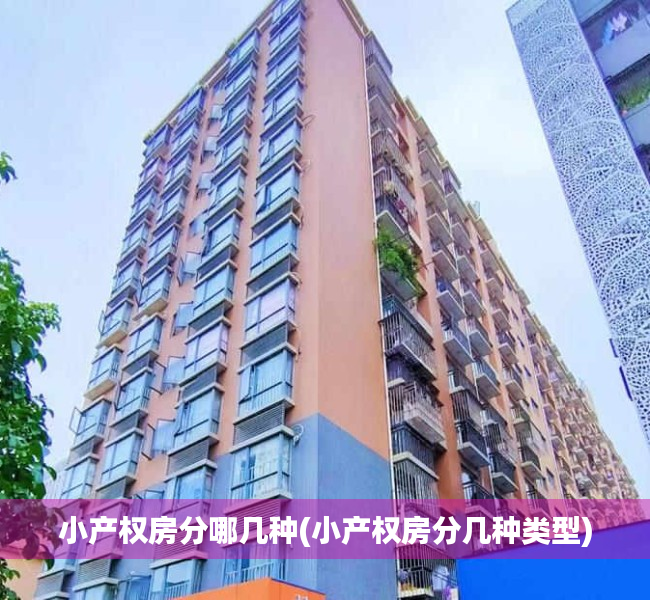 小产权房分哪几种(小产权房分几种类型) 小产权房分哪几种(小产权房分几种类型)
