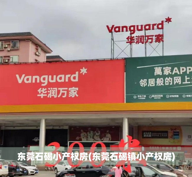 东莞石碣小产权房(东莞石碣镇小产权房) 东莞石碣小产权房(东莞石碣镇小产权房)