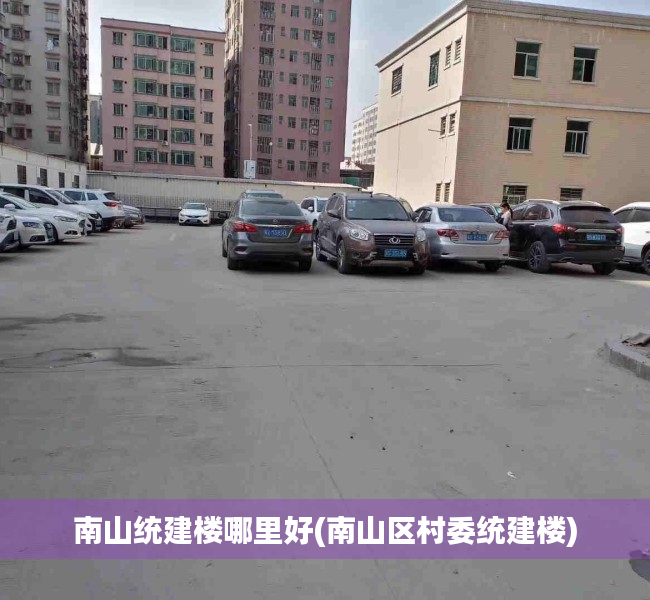 南山统建楼哪里好(南山区村委统建楼) 南山统建楼哪里好(南山区村委统建楼)