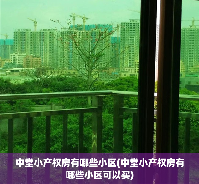 中堂小产权房有哪些小区(中堂小产权房有哪些小区可以买) 中堂小产权房有哪些小区(中堂小产权房有哪些小区可以买)