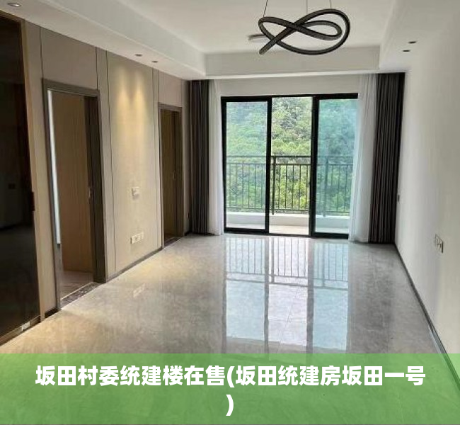 坂田村委统建楼在售(坂田统建房坂田一号) 坂田村委统建楼在售(坂田统建房坂田一号)