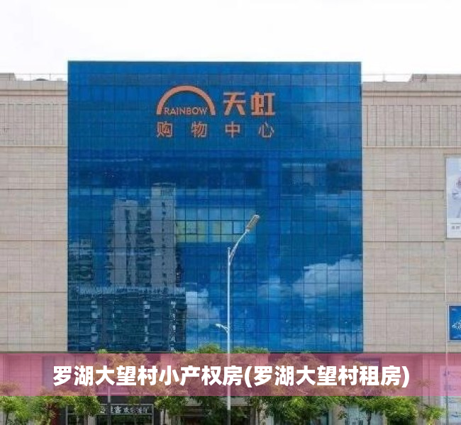罗湖大望村小产权房(罗湖大望村租房) 罗湖大望村小产权房(罗湖大望村租房)