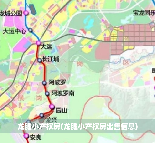 龙胜小产权房(龙胜小产权房出售信息) 龙胜小产权房(龙胜小产权房出售信息)