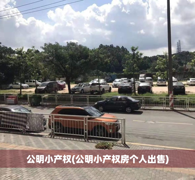 公明小产权(公明小产权房个人出售) 公明小产权(公明小产权房个人出售)