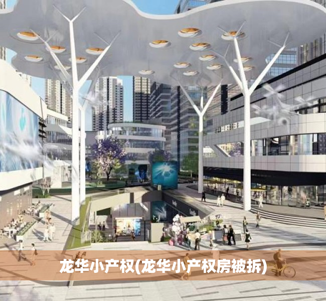 龙华小产权(龙华小产权房被拆) 龙华小产权(龙华小产权房被拆)
