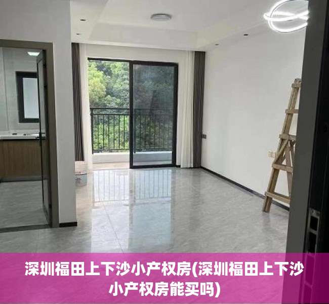 深圳福田上下沙小产权房(深圳福田上下沙小产权房能买吗) 深圳福田上下沙小产权房(深圳福田上下沙小产权房能买吗)