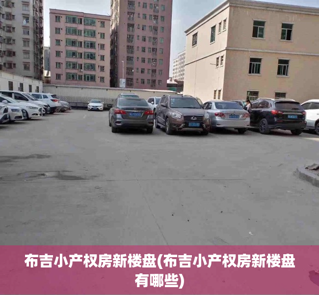 布吉小产权房新楼盘(布吉小产权房新楼盘有哪些)