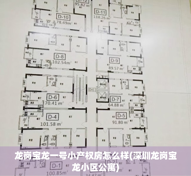 龙岗宝龙一号小产权房怎么样(深圳龙岗宝龙小区公寓) 龙岗宝龙一号小产权房怎么样(深圳龙岗宝龙小区公寓)