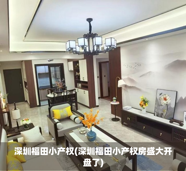 深圳福田小产权(深圳福田小产权房盛大开盘了)