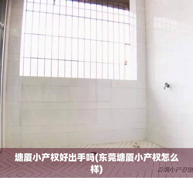 塘厦小产权好出手吗(东莞塘厦小产权怎么样)