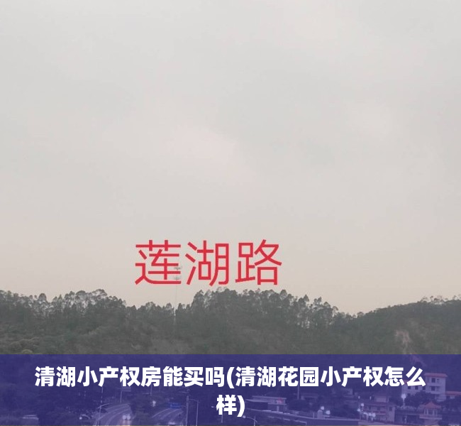 清湖小产权房能买吗(清湖花园小产权怎么样) 清湖小产权房能买吗(清湖花园小产权怎么样)