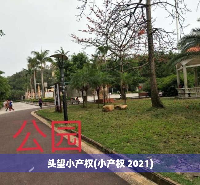 头望小产权(小产权 2021) 头望小产权(小产权 2021)