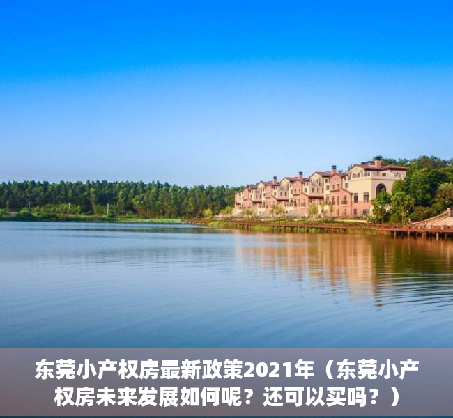 东莞小产权房最新政策2021年（东莞小产权房未来发展如何呢？还可以买吗？）