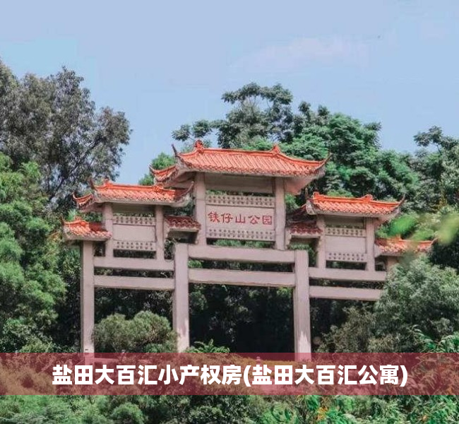 盐田大百汇小产权房(盐田大百汇公寓) 盐田大百汇小产权房(盐田大百汇公寓)