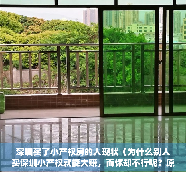 深圳买了小产权房的人现状（为什么别人买深圳小产权就能大赚，而你却不行呢？原因就在这三点）