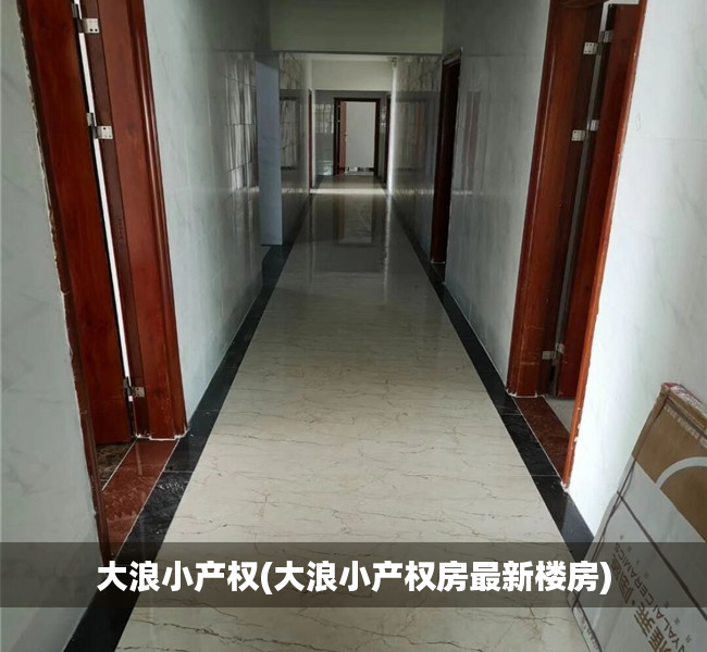 大浪小产权(大浪小产权房最新楼房) 大浪小产权(大浪小产权房最新楼房)