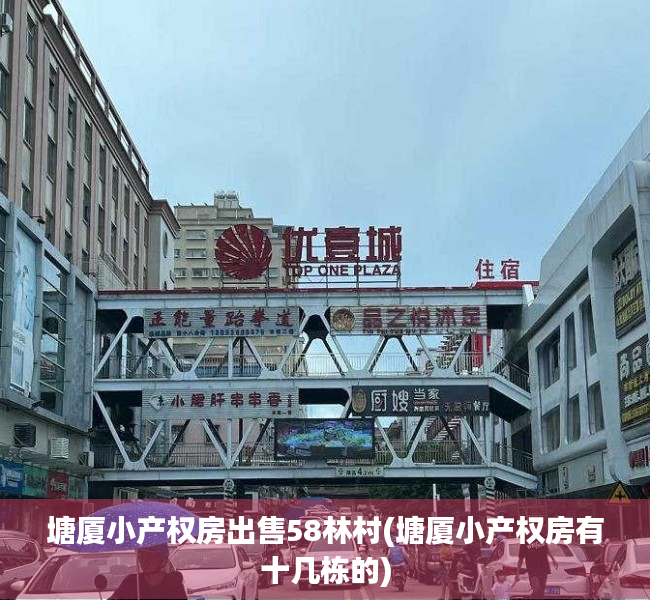 塘厦小产权房出售58林村(塘厦小产权房有十几栋的) 塘厦小产权房出售58林村(塘厦小产权房有十几栋的)
