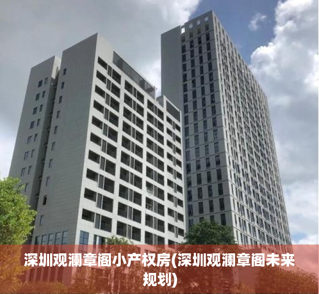 深圳观澜章阁小产权房(深圳观澜章阁未来规划)