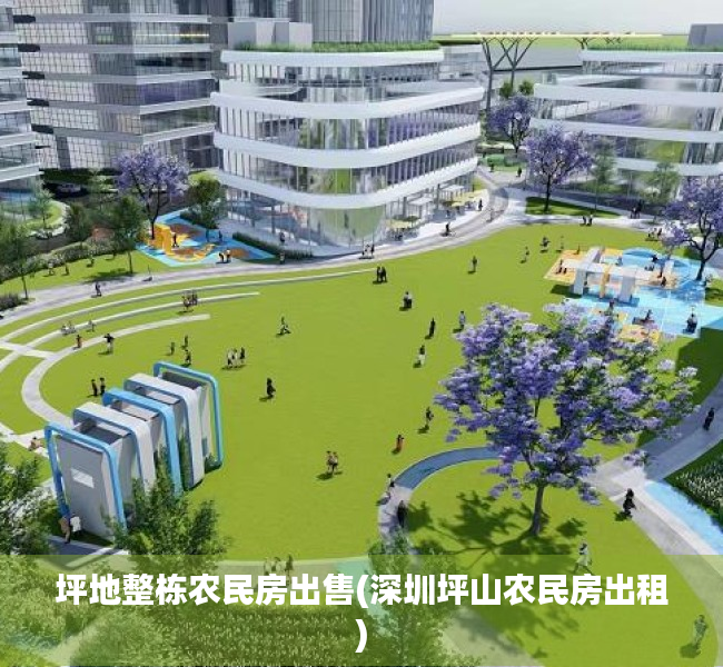 坪地整栋农民房出售(深圳坪山农民房出租) 坪地整栋农民房出售(深圳坪山农民房出租)