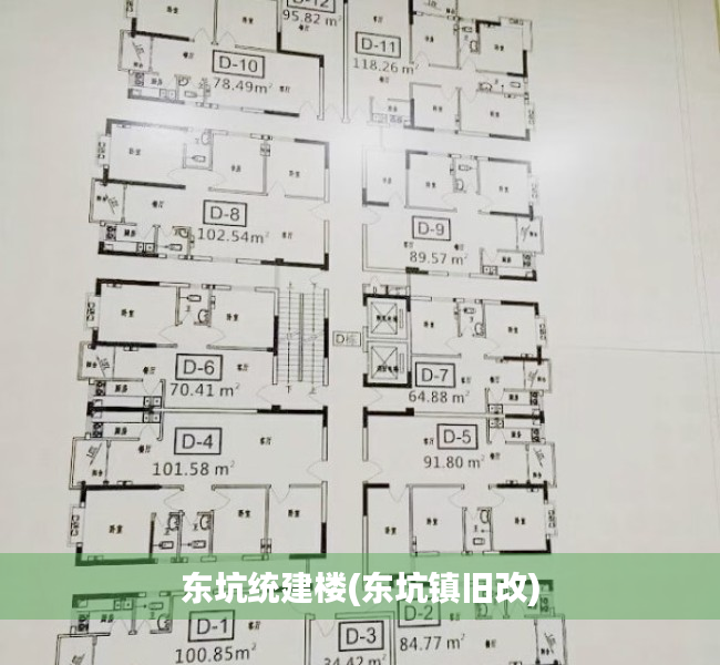 东坑统建楼(东坑镇旧改) 东坑统建楼(东坑镇旧改)