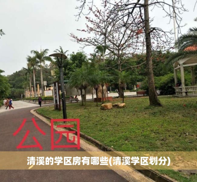 清溪的学区房有哪些(清溪学区划分) 清溪的学区房有哪些(清溪学区划分)