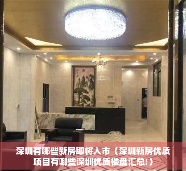 深圳有哪些新房即将入市（深圳新房优质项目有哪些深圳优质楼盘汇总!）