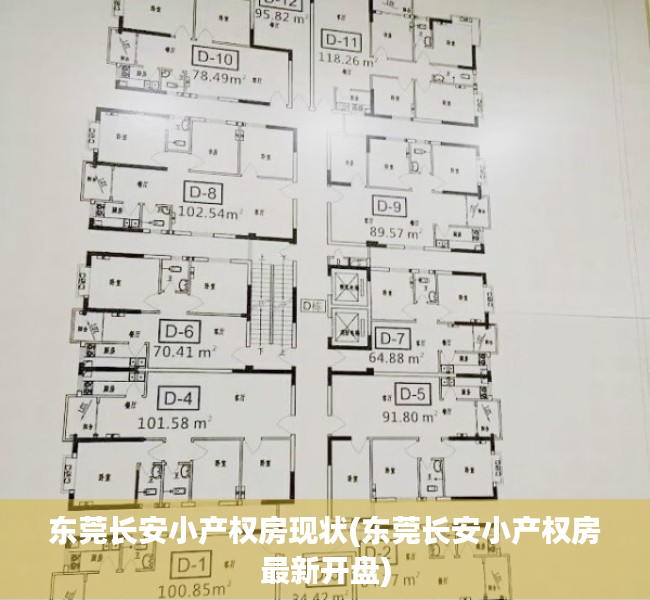 东莞长安小产权房现状(东莞长安小产权房最新开盘) 东莞长安小产权房现状(东莞长安小产权房最新开盘)