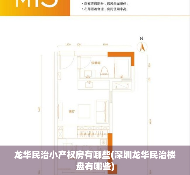 龙华民治小产权房有哪些(深圳龙华民治楼盘有哪些) 龙华民治小产权房有哪些(深圳龙华民治楼盘有哪些)