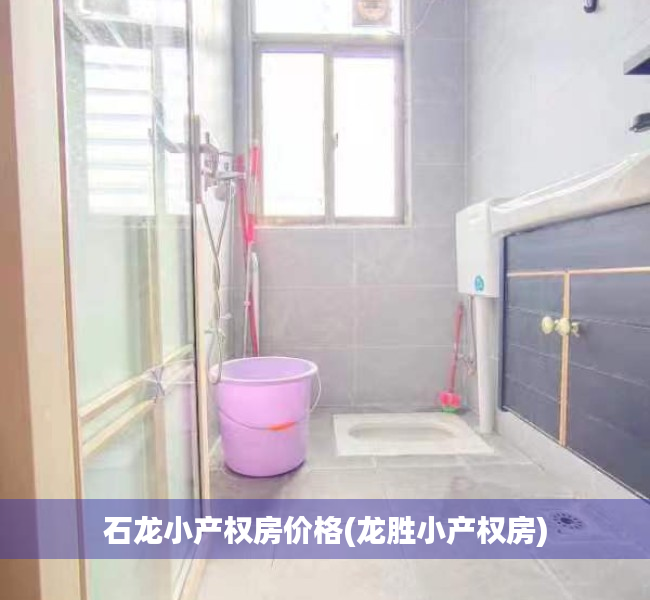 石龙小产权房价格(龙胜小产权房) 石龙小产权房价格(龙胜小产权房)
