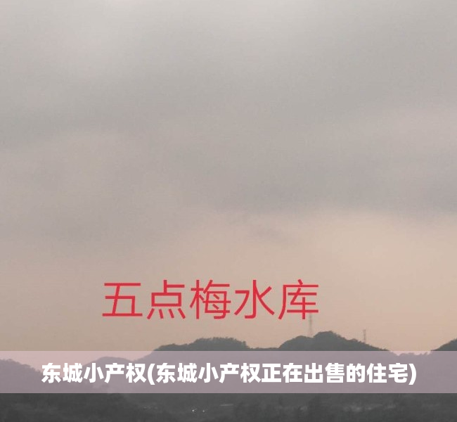 东城小产权(东城小产权正在出售的住宅) 东城小产权(东城小产权正在出售的住宅)