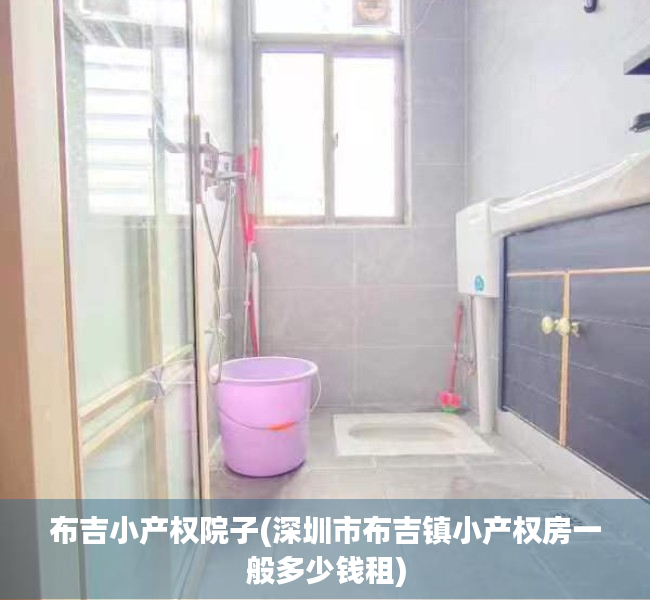 布吉小产权院子(深圳市布吉镇小产权房一般多少钱租) 布吉小产权院子(深圳市布吉镇小产权房一般多少钱租)