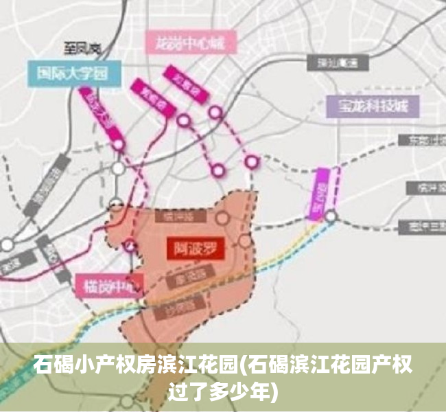 石碣小产权房滨江花园(石碣滨江花园产权过了多少年)