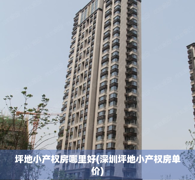 坪地小产权房哪里好(深圳坪地小产权房单价) 坪地小产权房哪里好(深圳坪地小产权房单价)