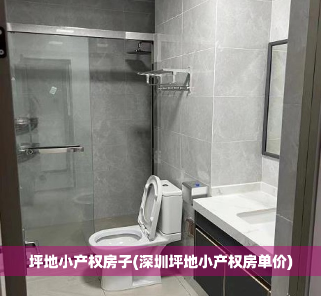 坪地小产权房子(深圳坪地小产权房单价) 坪地小产权房子(深圳坪地小产权房单价)