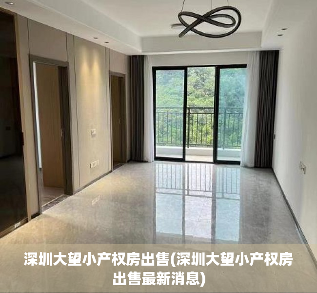 深圳大望小产权房出售(深圳大望小产权房出售最新消息) 深圳大望小产权房出售(深圳大望小产权房出售最新消息)