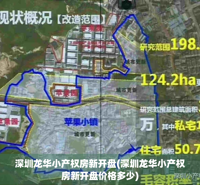 深圳龙华小产权房新开盘(深圳龙华小产权房新开盘价格多少) 深圳龙华小产权房新开盘(深圳龙华小产权房新开盘价格多少)