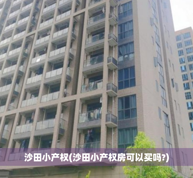 沙田小产权(沙田小产权房可以买吗?) 沙田小产权(沙田小产权房可以买吗?)
