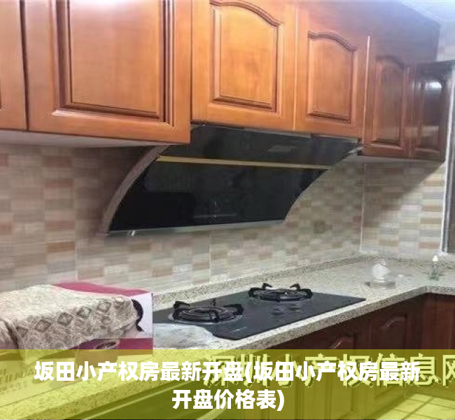 坂田小产权房最新开盘(坂田小产权房最新开盘价格表) 坂田小产权房最新开盘(坂田小产权房最新开盘价格表)
