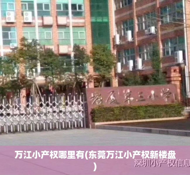 万江小产权哪里有(东莞万江小产权新楼盘) 万江小产权哪里有(东莞万江小产权新楼盘)