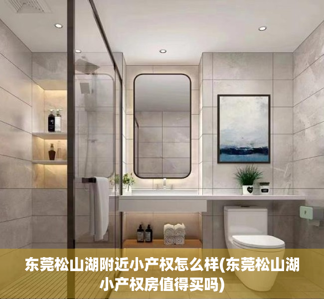 东莞松山湖附近小产权怎么样(东莞松山湖小产权房值得买吗)
