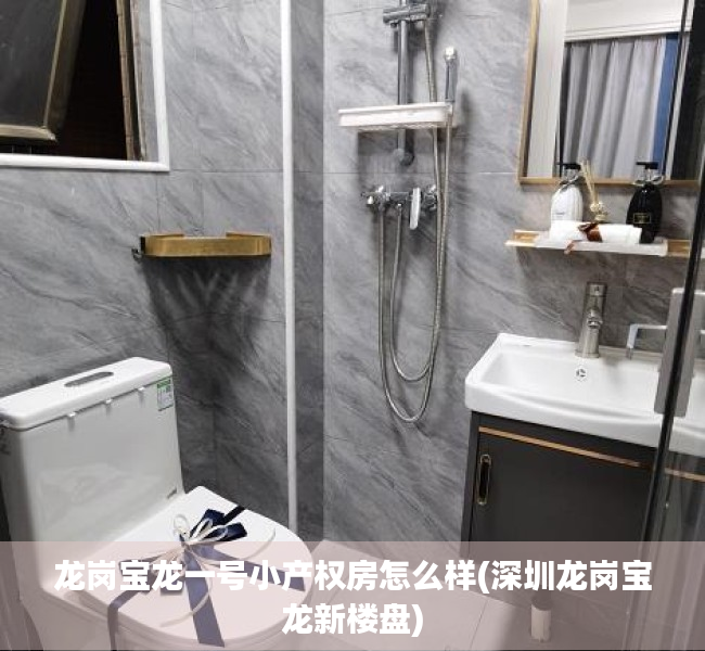 龙岗宝龙一号小产权房怎么样(深圳龙岗宝龙新楼盘) 龙岗宝龙一号小产权房怎么样(深圳龙岗宝龙新楼盘)