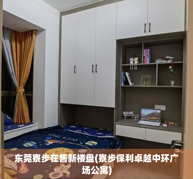 东莞寮步在售新楼盘(寮步保利卓越中环广场公寓) 东莞寮步在售新楼盘(寮步保利卓越中环广场公寓)