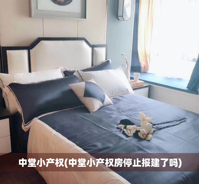中堂小产权(中堂小产权房停止报建了吗) 中堂小产权(中堂小产权房停止报建了吗)