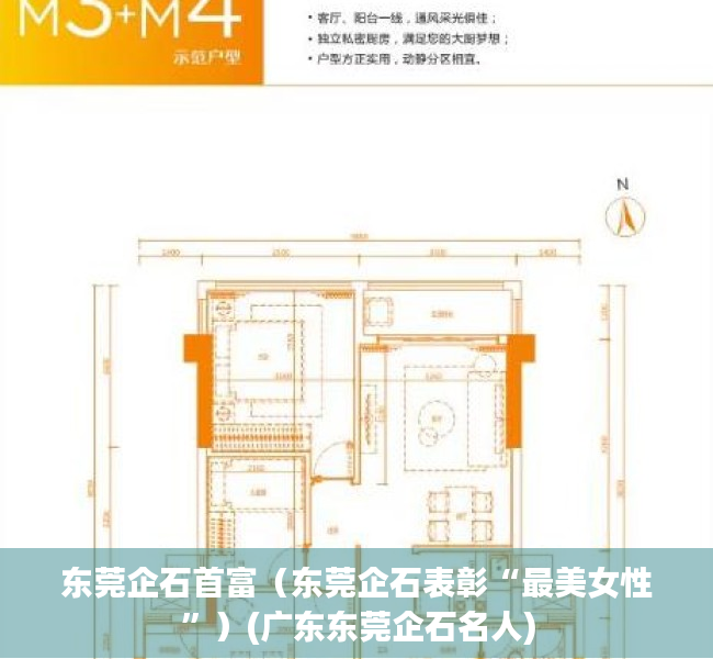 东莞企石首富（东莞企石表彰“最美女性”）(广东东莞企石名人)