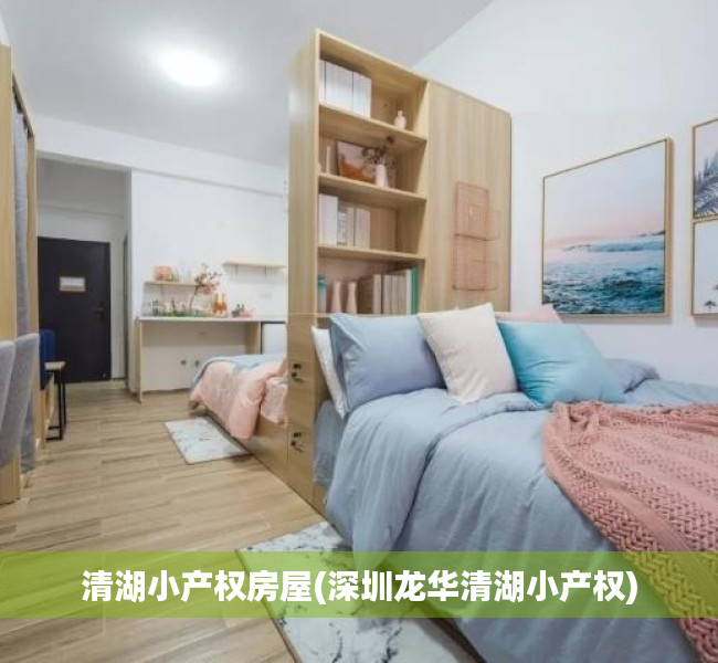 清湖小产权房屋(深圳龙华清湖小产权) 清湖小产权房屋(深圳龙华清湖小产权)